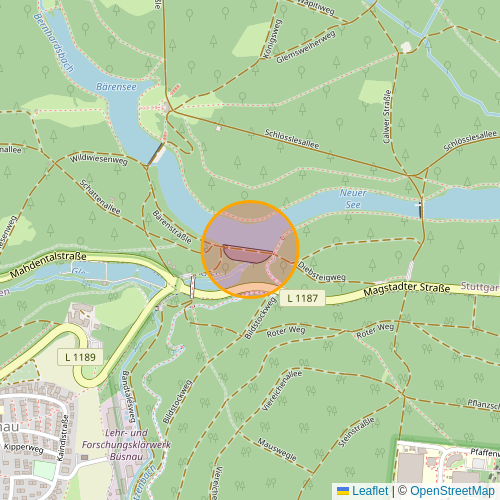 openstreetmap shot with a dam in the middle marked with a circle